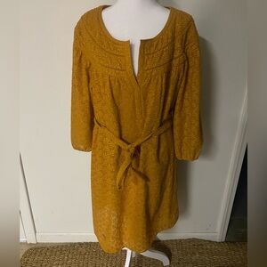 Anthropologie Daniel rainn goldenrod Dress